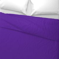 Solid Purple (HEX #5e259b)