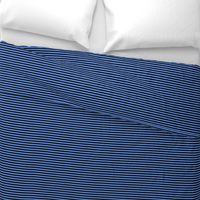 Quarter Inch Cornflower Blue and Black Horizontal Stripes