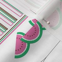 Pink Watermelon Trivets