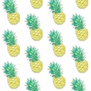 watercolour pineapple
