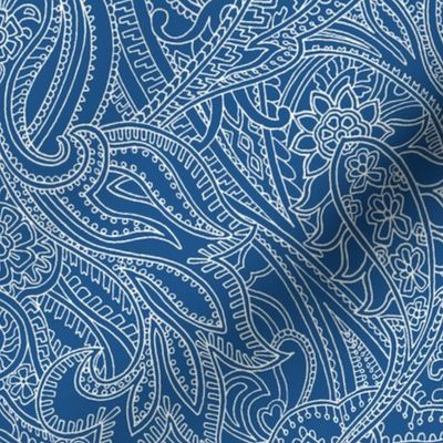 Paisley Lace Outline - blue grey