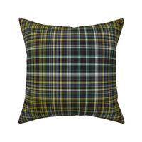 Scottish Vanity Plaid with Texture