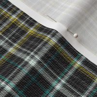 Scottish Vanity Plaid with Texture