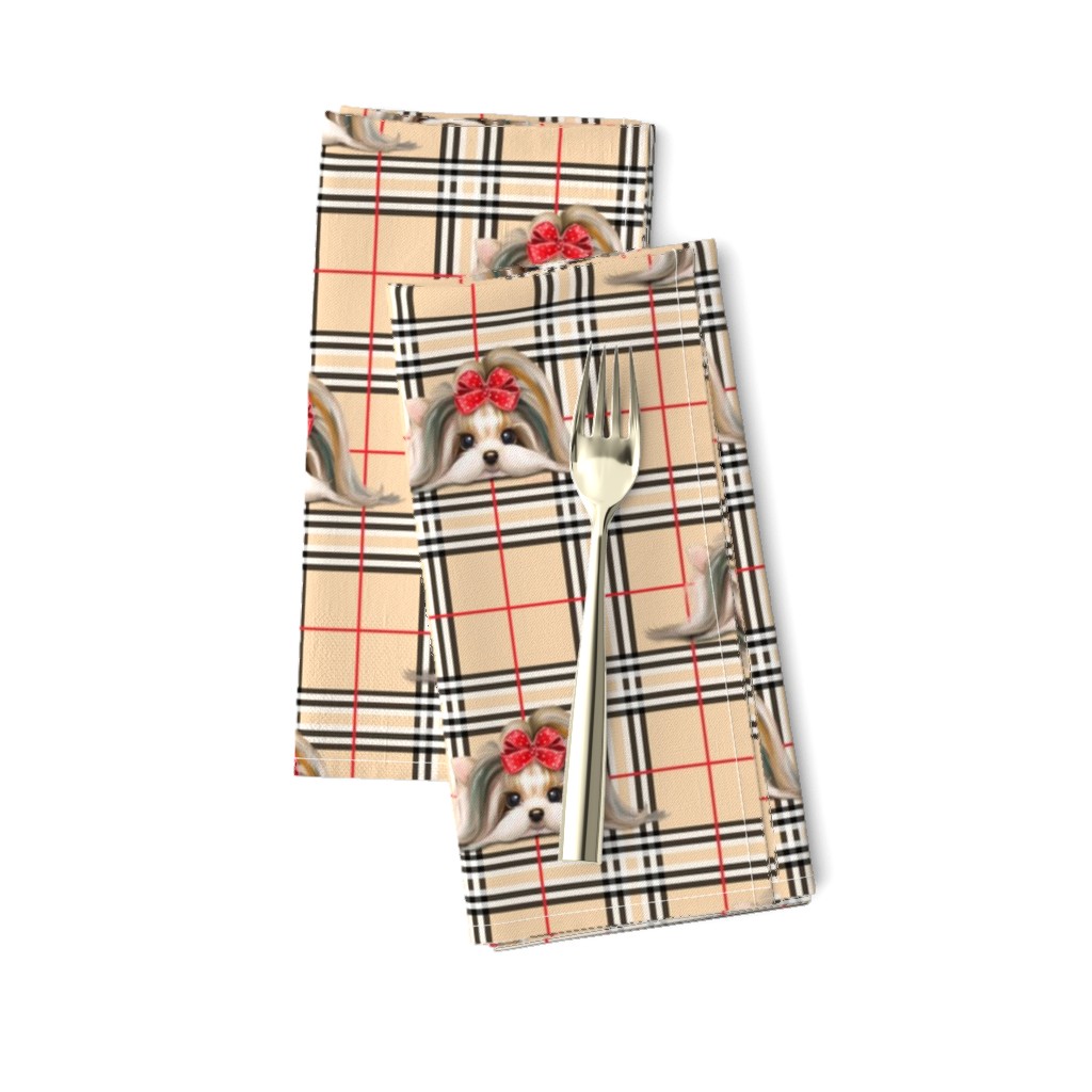 Parti-Biewer-Yorkie Plaid M