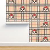 Parti-Biewer-Yorkie Plaid M