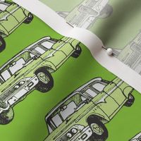 green 1959 Edsel Ranger on olive background