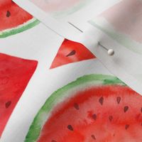 Watermelon  slices