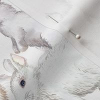 White rabbits (medium scale)