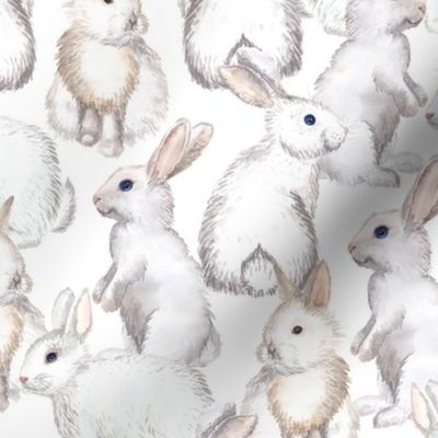 White rabbits (medium scale)