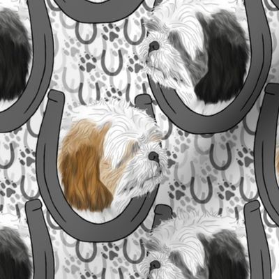 Shih Tzu horseshoe portraits