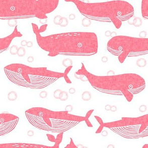 whale // whales pink ocean animals creature pink save the whales 
