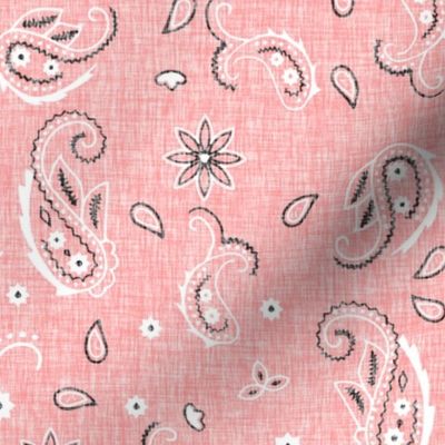 Western Paisley - pink