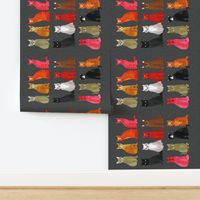 tea towel // cats kittens cute pets pet cat sweet kitty