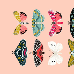 tea towel // moths lepidoptery butterflies cute girls pink vintage botanicals