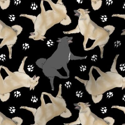 Trotting Norwegian Buhunds and paw prints - black