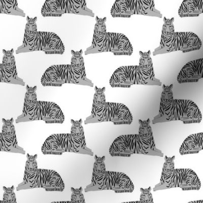 tiger // grey tiger safari animals kids baby nursery sweet grey and white 