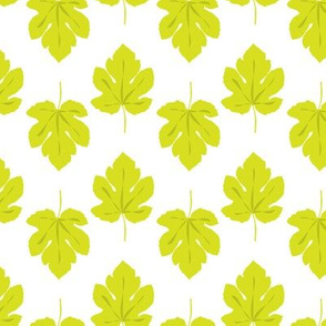  Leaf Leaves Lime Green || Fig Fruit Summer Food on White_Miss Chiff Designs