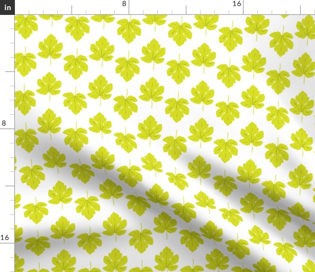  Leaf Leaves Lime Green || Fig Fruit Summer Food on White_Miss Chiff Designs