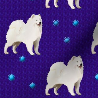 Samoyed Purple Field with Stars