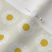 daisy daisies flowers florals cute painted girls soft cream light background