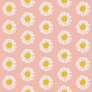 daisy daisies soft pink girls sweet painted flowers florals vintage colors