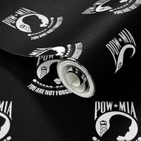 POW MIA flag - prisoner of war / missing in action