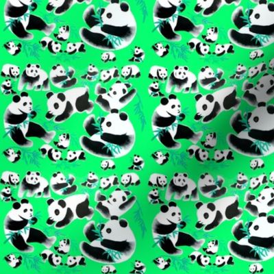 china chinese pandas bamboos baby babies animals plants watercolor 