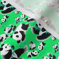 china chinese pandas bamboos baby babies animals plants watercolor 
