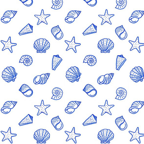 Ocean seashells - large