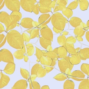 Yellow Leaves on Light Gray