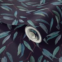 Eucalyptus leaves