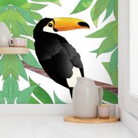 Tropical Toucan Collage