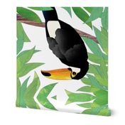 Tropical Toucan Collage