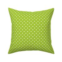 Dots on Light Green