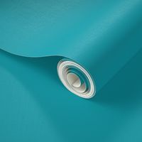 BN8 - Turquoise Solid