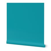 BN8 - Turquoise Solid