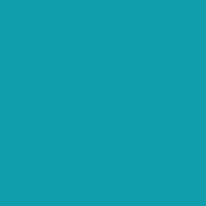 BN8 - Turquoise Solid