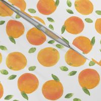 watercolor oranges