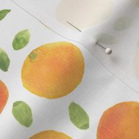 watercolor oranges