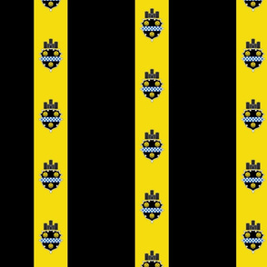 Pittsburgh flag