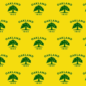 Oakland flag - smaller