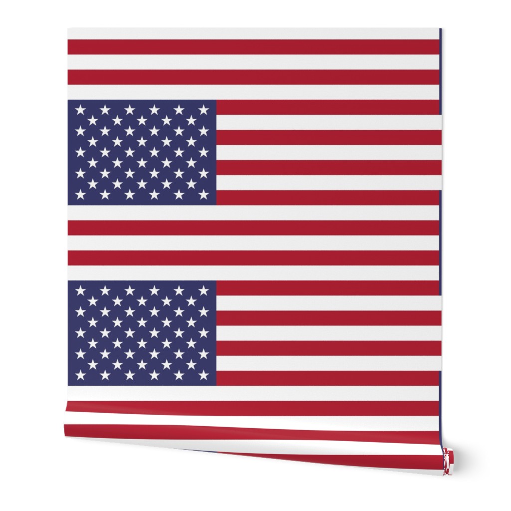 United States of America flag - USA flag