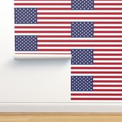 United States of America flag - USA flag