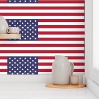 United States of America flag - USA flag