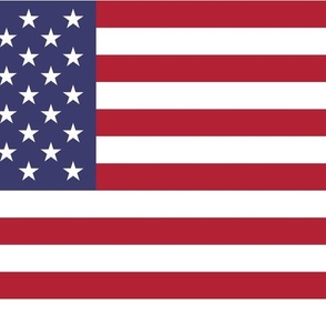 United States of America flag - USA flag