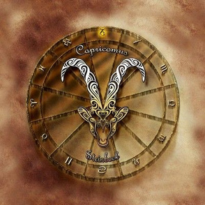 capricorn 1 - ibex