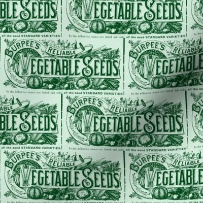 Vegetable Seed Catalog Header