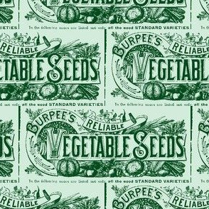 Vegetable Seed Catalog Header