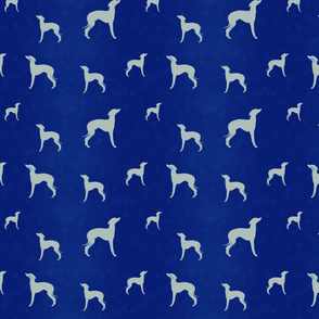 Italian greyhounds on blue