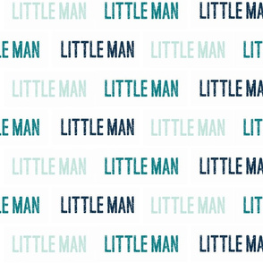 Little Man - Multi Teal/Navy/Mint